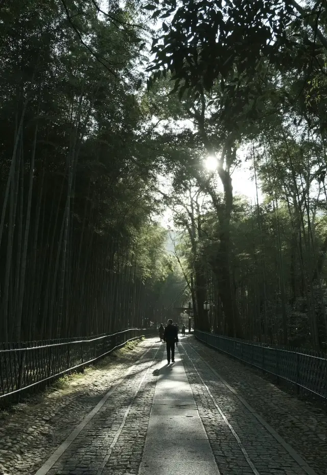 Hangzhou Tourism | Thanks to Ang Lee for discovering this secluded bamboo forest in Hangzhou with few people and beautiful scenery
