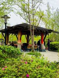 自然風光和人文氣息的黃興公園，你玩得可真花啊