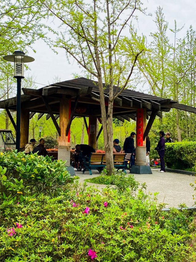 自然風光和人文氣息的黃興公園，你玩得可真花啊