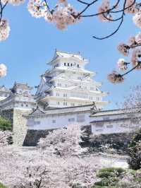 Himeji Castle is stunning 🇯🇵