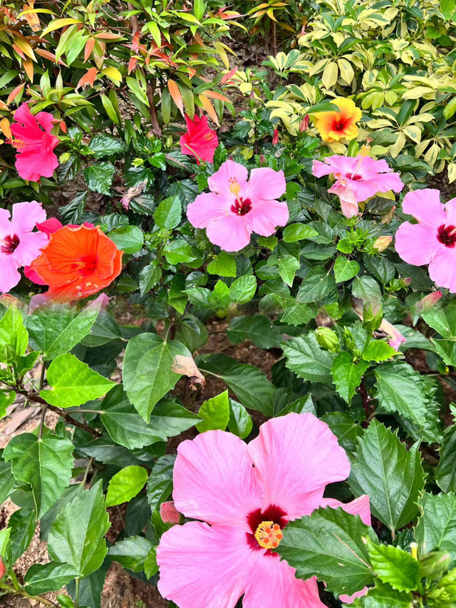 香港人少好玩景點推薦屯門公園