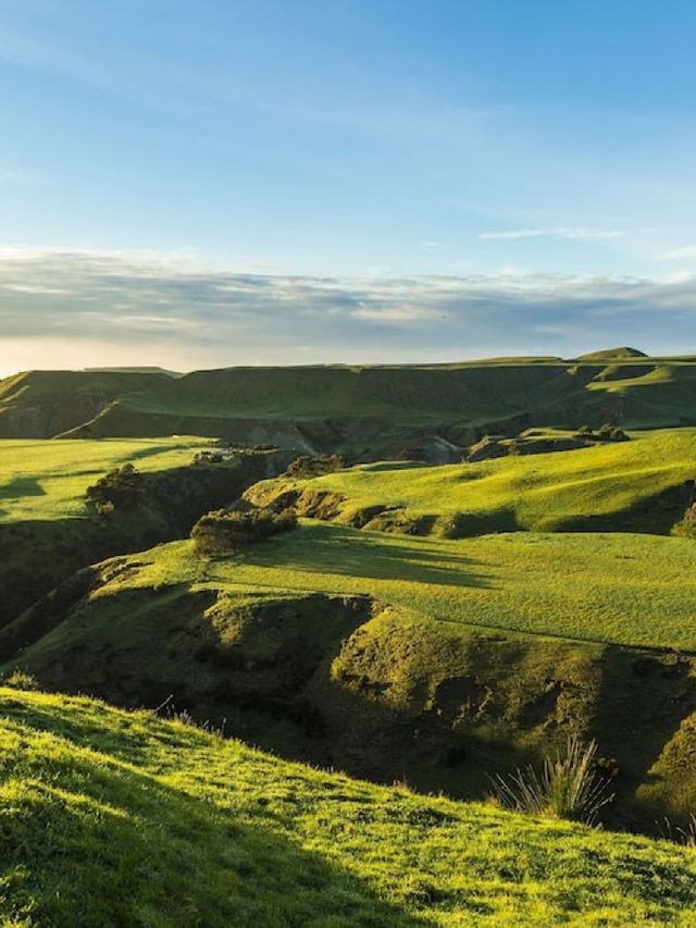 🌟 Luxe Sleeps in Hawke's Bay: Top Hotel Picks 🍇