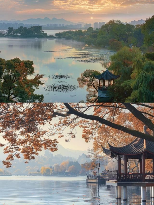 西湖美景圖畫，別錯過這場浪漫