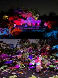 夜遊申園，夏日納涼的出行選擇