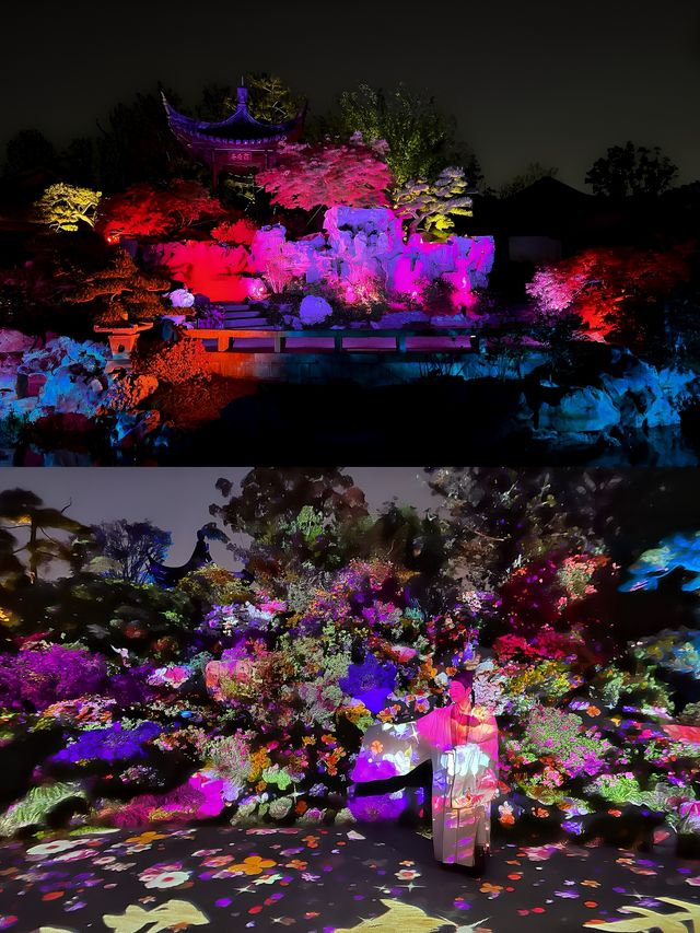 夜遊申園，夏日納涼的出行選擇