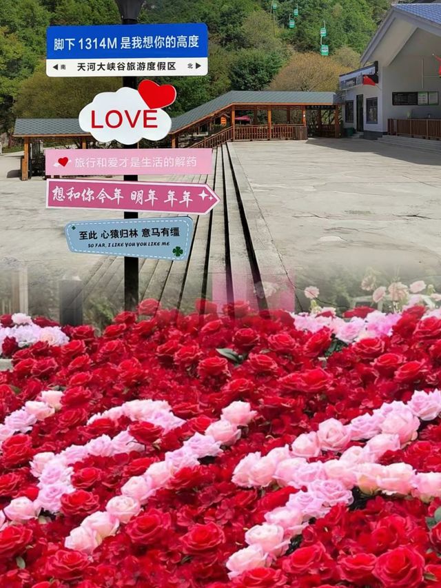 河南避暑勝地，浪漫與藝術在此碰撞！