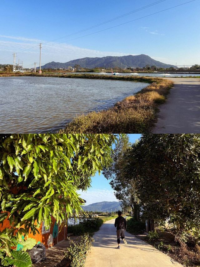 佛山周邊週末自駕親子遊低調的絕美古村，堪稱反向旅遊「天花板」