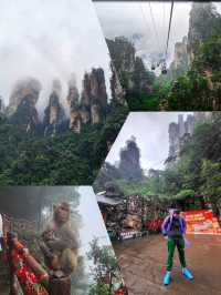 Avatar Mountains Local guide