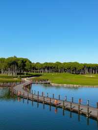 🌟 Belek's Best Sleeps: Deluxe Dreams Await! 🌟