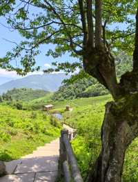 來黑竹溝景區，開啟初夏美好時光
