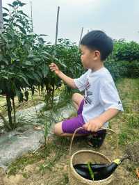 二刷忆村 被湖泊草坪包圍的全景帳篷房