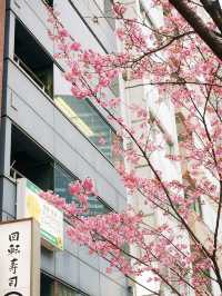 東京景點｜澀谷三丁目的櫻花