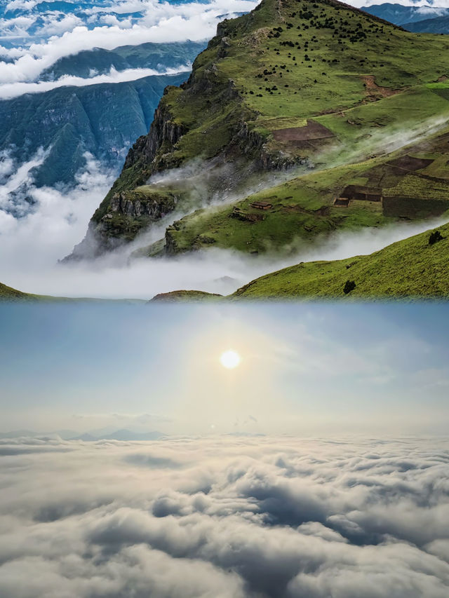 總要去一趟龍頭山吧！！看看雲海，吹吹山頂的風！！