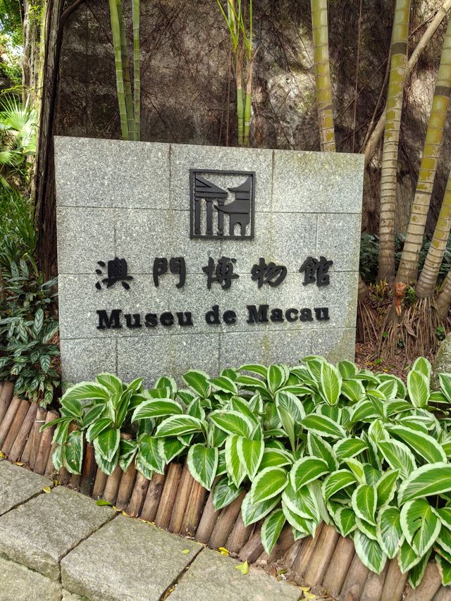 202407香港澳門親子遊