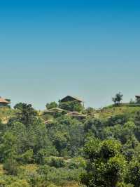 🌟 Coorg's Hidden Gem: Stay in Style & Comfort 🌿✨