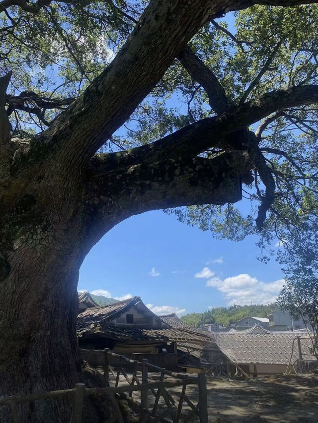 又找到一个旅游宝藏胜地