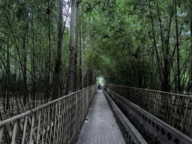 竹林水鄉西張趕