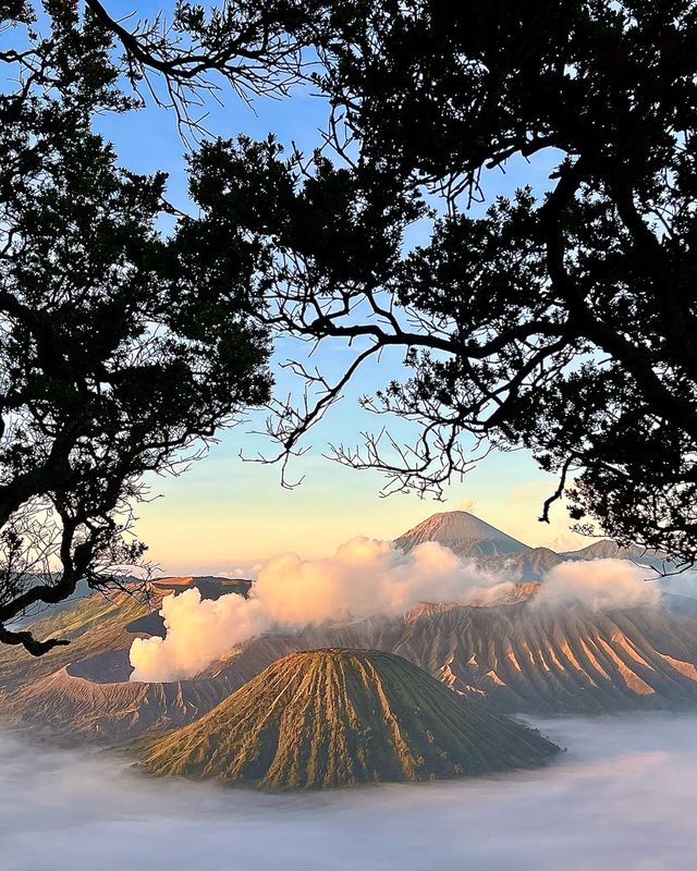 BROMO｜勇敢的人先吃火山灰