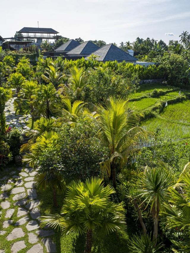 🌴 Bali Bliss: Adiwana Unagi's Jungle Views & Luxury 🌺