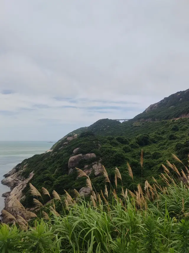 朱家尖-大青山自駕遊