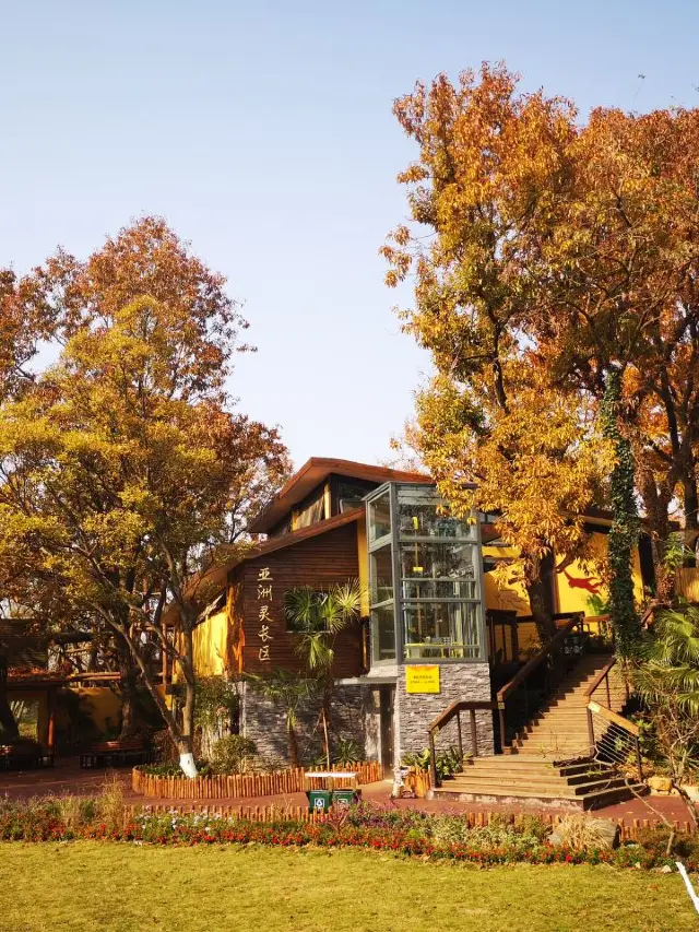 南京的親子游:動物園、博物館、遊輪!🎡🐘🚢