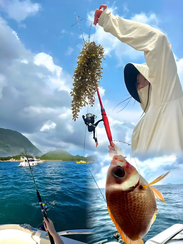 The call of the ocean, a journey of the soul | A sea fishing trip