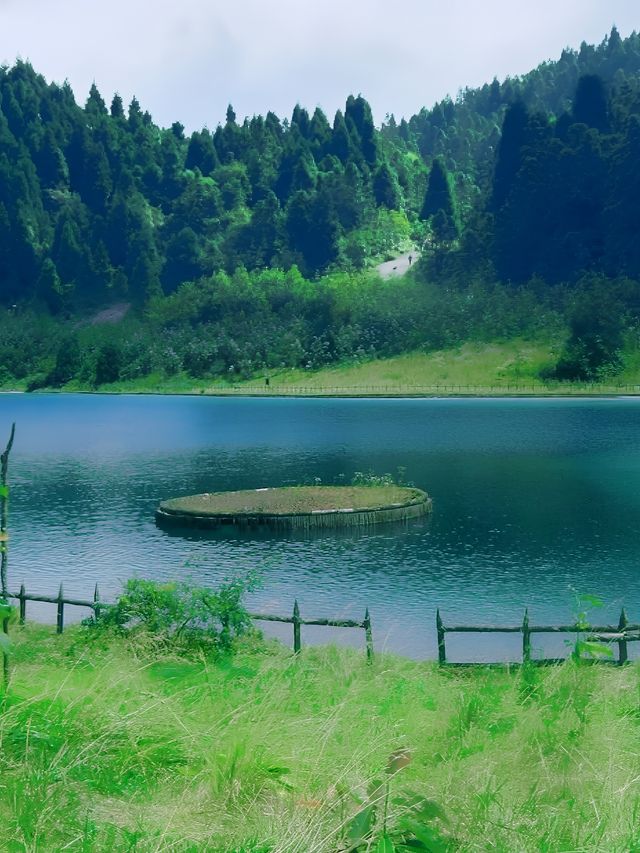 重慶居然有這麼涼爽的地方