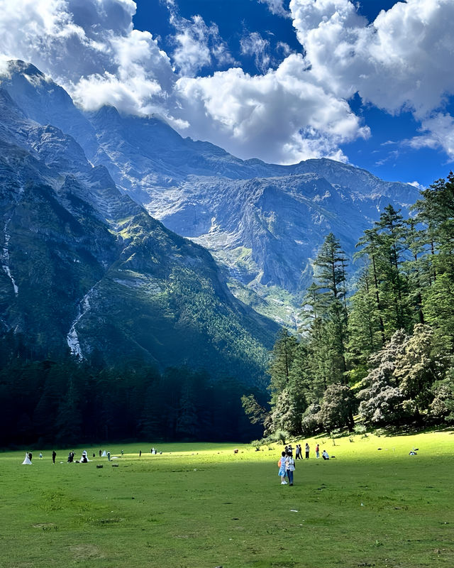 雲杉坪打卡隱藏在玉龍雪山的巨大草坪