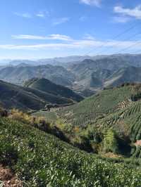 湖州陸羽古道