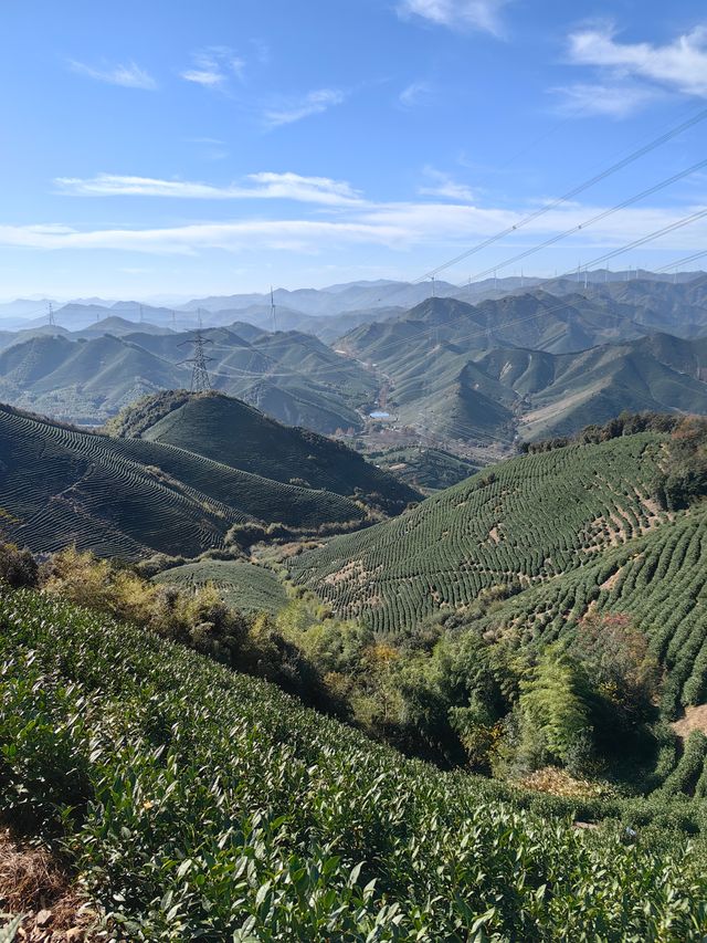 湖州陸羽古道