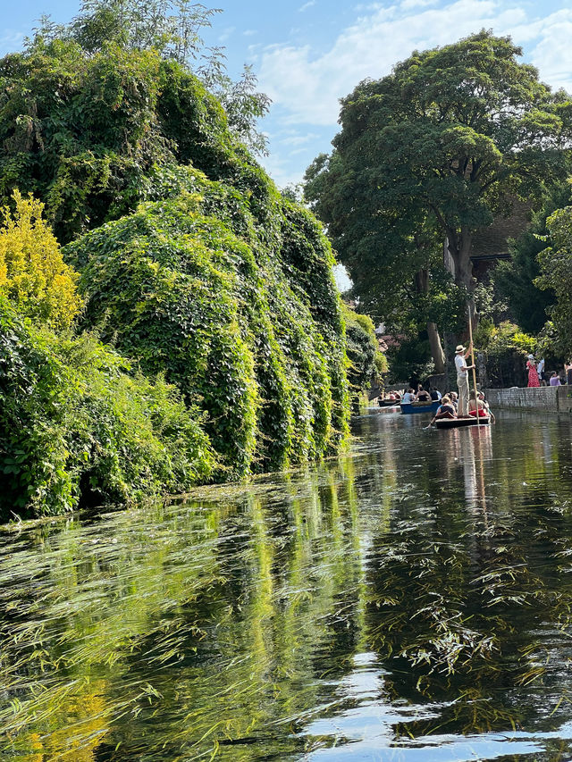 Canterbury is a small town in UK 🇬🇧 check out the nature 🩷