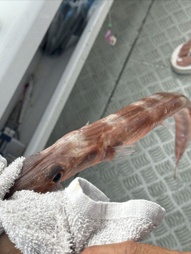 普吉島海釣｜有手就行！！！