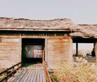 杭州灣濕地公園