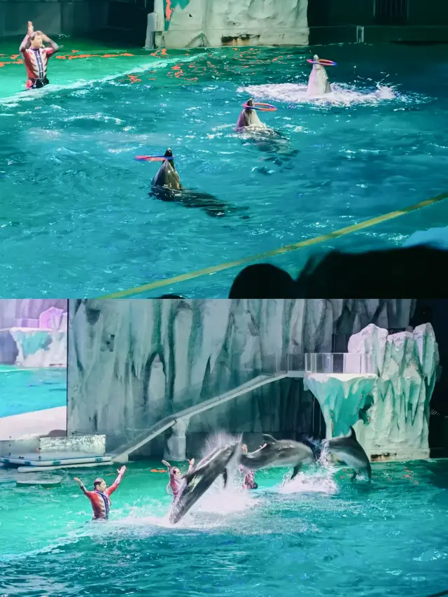 【哈爾濱極地公園海洋館】打卡。
