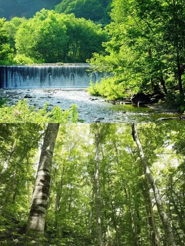 Aomori, a hidden gem in Japan, is a must-visit.