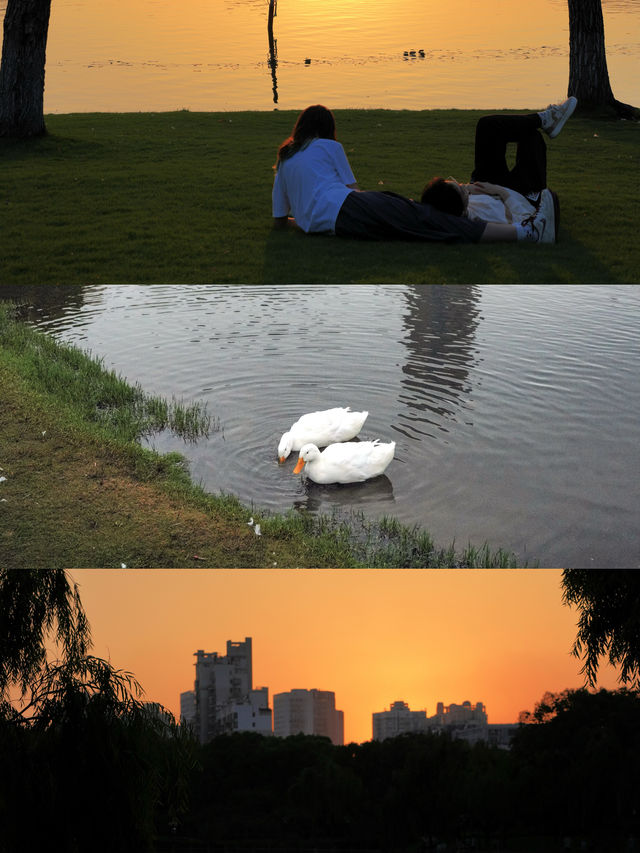 不用去大理！去有風的寶藏公園看日落吧。