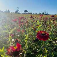 A hidden gem in the outskirts of Yanji