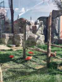 蘭州動物園，宛如一座隱藏在城市中的自然寶藏。