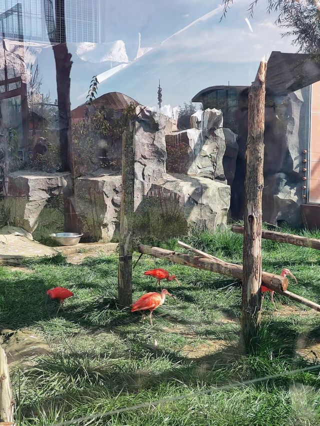 蘭州動物園，宛如一座隱藏在城市中的自然寶藏。
