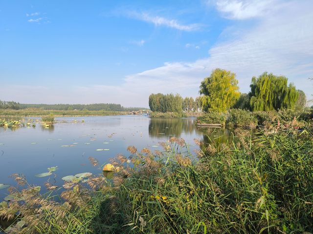 泰安東平湖。