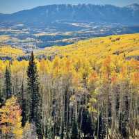 Colorado Fall Colors 