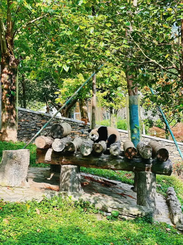 這可能是我離國寶最近的距離。