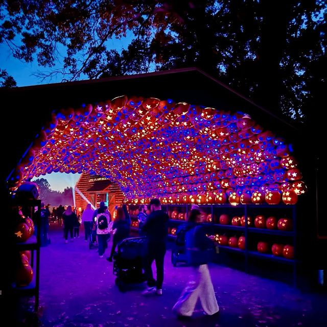 Spooky Halloween, apart from the common spooky decorations UK Edinburgh