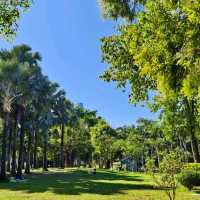 Lianhuashan Park Shenzhen