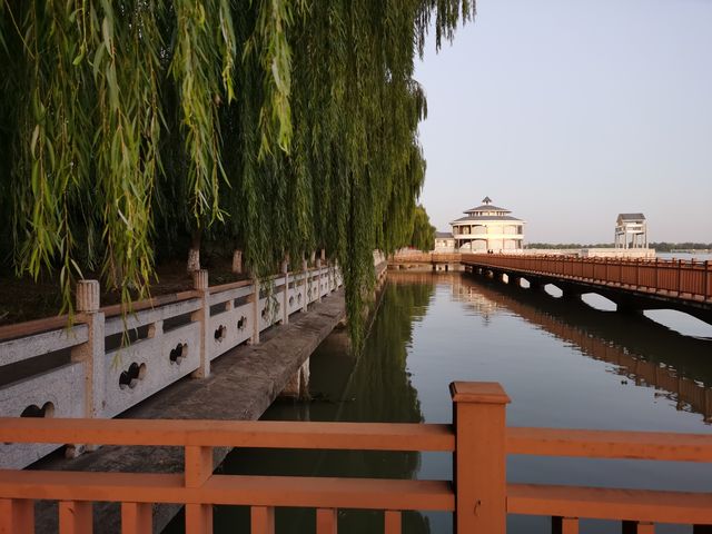 焦崗湖小記。
