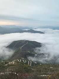 鎮安海棠山|雲海深處見海棠。