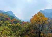 西安‧周至耿峪免費賞紅葉。
