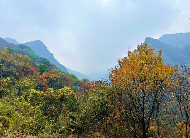 西安‧周至耿峪免費賞紅葉。