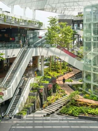 Experience the Forest Vibe in Bangkok's Mega Bangna Shopping Center