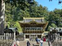 Exploring the Cultural and Natural Heritage of Nikko